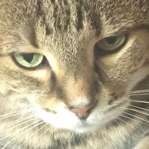 MAKE OFFERS AND I MIGHT ACCEPT!!!!!!!!